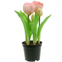 kohteita Tekokukat ruukussa Tekotulppaanit Pinkki Keltainen 22,5cm