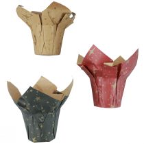 Istutuspaperitähtiä punainen/antrasiitti/luonnollinen Ø12cm K12cm 9 kpl