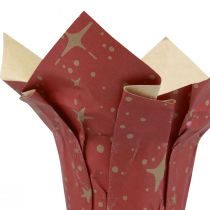 Istutuspaperitähtiä punainen/antrasiitti/luonnollinen Ø4,5cm K6cm 9 kpl
