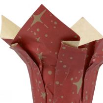 Istutuspaperitähtiä punainen/antrasiitti/luonnollinen Ø9,5cm K10cm 9 kpl