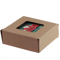 kohteita Lasinaluset keraamiset hedelmävihannekset 10×10cm 4kpl