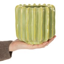 kohteita Kaktusruukku, ihanteellinen kulho eksoottisiin kodin sisustuksiin, 16 cm