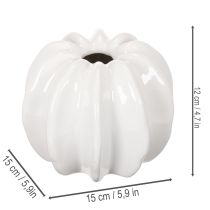 kohteita Kurpitsa-keraaminen maljakko, valkoinen, kodinsisustus, 15 cm