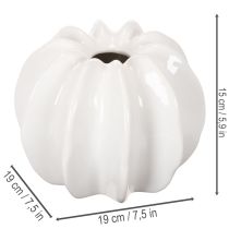 kohteita Kurpitsa-koristemaljakko, kiiltävä, syyskoriste olohuoneeseen, 19 cm