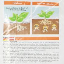 kohteita Villa Flora ruukkumulta 10l