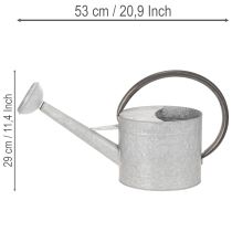 kohteita Metallinen kastelukannu, hopeanharmaa, tyylikäs puutarhakoriste, kukkamaljakko, P53cm K29cm