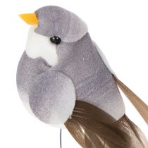 kohteita Koristelinnut, keinotekoinen kodinsisustus, kevätjuhlat, värikkäillä höyhenillä, jotka on tehty aidoista höyhenistä, 5 cm, 18 kpl