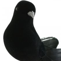 kohteita Kyyhkyset langalla, hääkoristeet, kyyhkyset mustat K7cm 4kpl