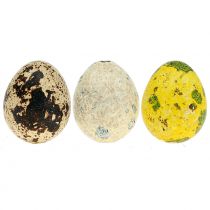 Viiriäisen munalajitelma keltainen, luonnollinen 3cm 72kpl