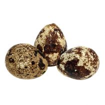 Viiriäisen munia koristeena tyhjiä luonnollisia 50 kpl