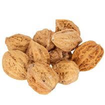 kohteita Saksanpähkinät, luonnontuote pöytäkoristeluun ja tee-se-itse-projekteihin. Luonnonpähkinät, 4-5 cm, 300 g.