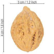 kohteita Saksanpähkinät, luonnontuote pöytäkoristeluun ja tee-se-itse-projekteihin. Luonnonpähkinät, 4-5 cm, 300 g.