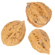 kohteita Saksanpähkinät, luonnontuote pöytäkoristeluun ja tee-se-itse-projekteihin. Luonnonpähkinät, 4-5 cm, 300 g.