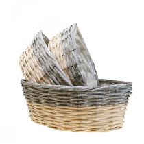 kohteita Pajukori istutukseen Kasvikulho L29/33/38cm 3 kappaletta