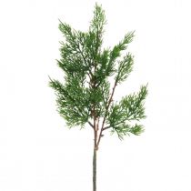 kohteita Joulun oksat sypressi koristeoksa sypressin oksat 50cm 4 kpl