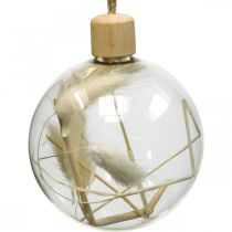 Joulupallot lasillinen koristepallo täynnä kuivattuja kukkia Ø8cm 3kpl