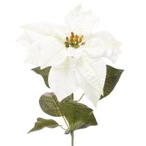 kohteita Keinotekoinen valkoinen joulutähti, suuri kukkiva oksakoriste, 65 cm, 2 kpl