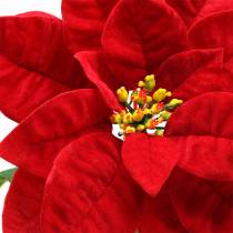 Joulutähti Keinotekoinen Kukka Punainen 67cm