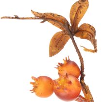 kohteita Keinotekoinen orapihlajan oksa, syyskoriste, 75cm