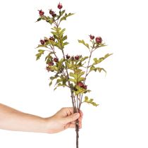 kohteita Keinotekoinen orapihlajan oksa punaisilla marjoilla, koriste, 110 cm