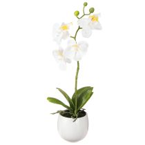 kohteita Valkoiset orkidea-tekokukat ruukussa Phalaenopsis K33cm