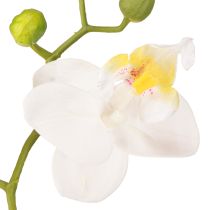 kohteita Valkoiset orkidea-tekokukat ruukussa Phalaenopsis K33cm