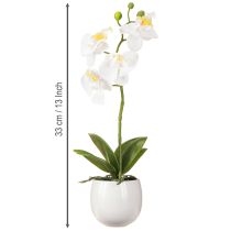 kohteita Valkoiset orkidea-tekokukat ruukussa Phalaenopsis K33cm