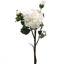 Valkoiset ruusut tekoruusu iso kolmella silmulla 57cm