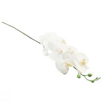 kohteita Valkoinen keinotekoinen orkidea Phalaenopsis Real Touch 85cm