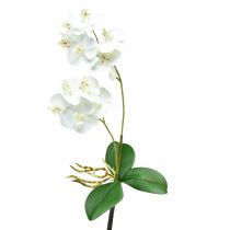 kohteita White Orchid on Pick Artificial Phalaenopsis Real Touch 39cm