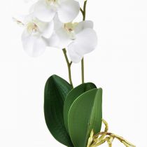 kohteita White Orchid on Pick Artificial Phalaenopsis Real Touch 39cm