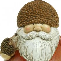 Imp figuuri, jossa tammenterho ja siili koristefiguuri syksyn ruskea H19cm