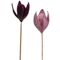 Villi lilja koristeeksi varren sekoitus pinkki, kanerva 45kpl