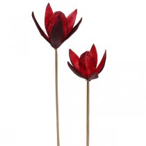 Villi lilja varressa punainen Ø6,5cm 35cm 45p