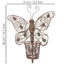 kohteita Metallinen lyhty, seinäkoriste, perhonen, ruosteenvärinen viimeistely, 36,5 cm
