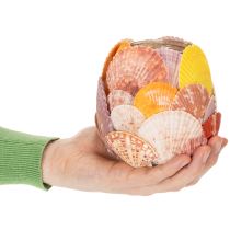 kohteita Meriaiheinen tuikkukynttilälyhty, aitoja simpukoita, kylpyhuoneen koriste, lomatunnelma, 12 cm