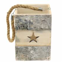 kohteita Koivupuu lyhty kahvalla 14,5cm x 14,5cm K20cm