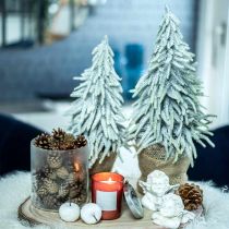 Talvikuusi ruukussa, Joulukoriste, Kuusipuu lumella H45cm