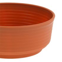 kohteita Z-kulho muovia Ø20cm 10 kpl