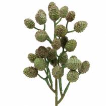 Cone Branch Green 33cm Keinotekoinen kasvi kuin aito!