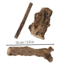 kohteita Lumoavat koristeelliset puiset juuret kotiisi