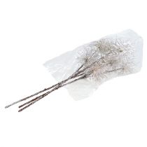 kohteita Taikapähkinänoksasamppanja 45cm 3 kpl