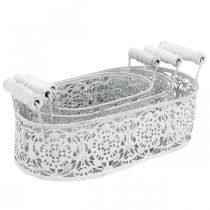 kohteita Kulhot istutukseen, koristeruukku pitsikoristeella, metalliastia kahvoilla, soikea valkoinen, hopea Shabby Chic L25,5 / 20 / 15cm H7cm 3 kpl setti