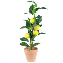 kohteita Sitruunapuu ruukussa keinokasvi 42cm