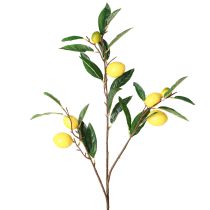 kohteita Keinotekoinen sitruunanoksa keinotekoinen sitruunanoksa 91cm 2kpl