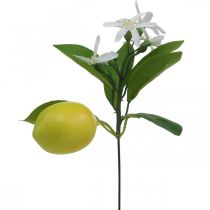 Deco-oksa sitruuna ja kukat tekooksa kesäkoristelu 26cm 4kpl