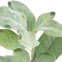kohteita Salvia tekokasveja salvialehdet kukkakoristeet salviakoristeet 68cm 2 kpl