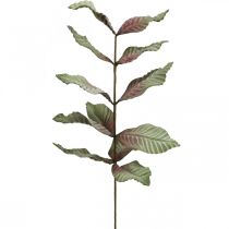 kohteita Keinotekoinen kasvi deco-oksa vihreä punaruskea vaahto H68cm
