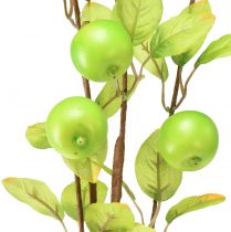 kohteita Keinotekoinen koristeellinen omenan oksanvihreä 80cm