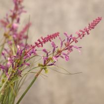kohteita Koristeellista viherkasvia herkillä kukilla tyylikkääseen huonesuunnitteluun 67 cm